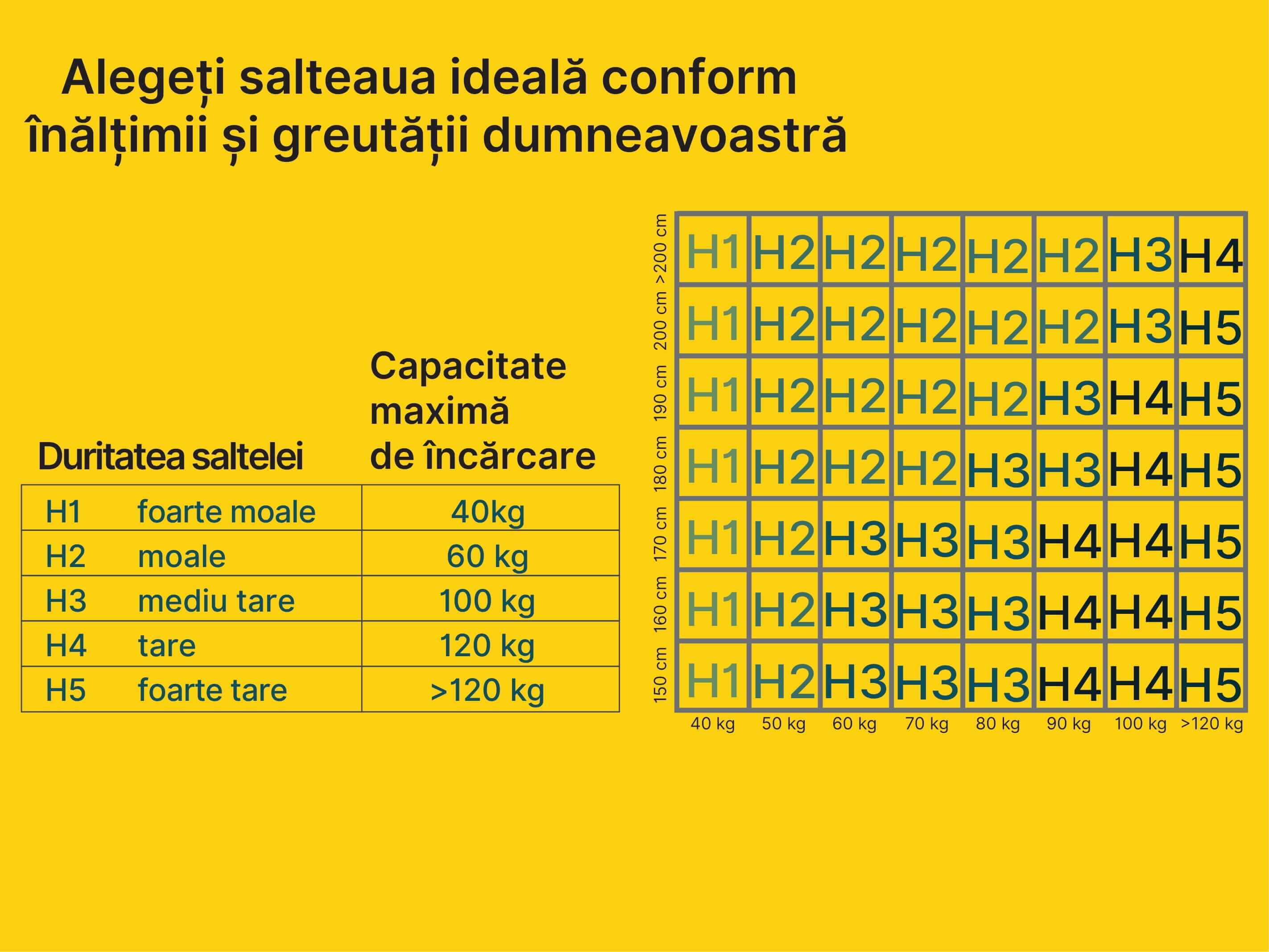 fermitate